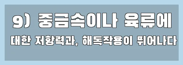  9) 중금속이나 육류에 대한 저항력과, 해독작용이 뛰어나다