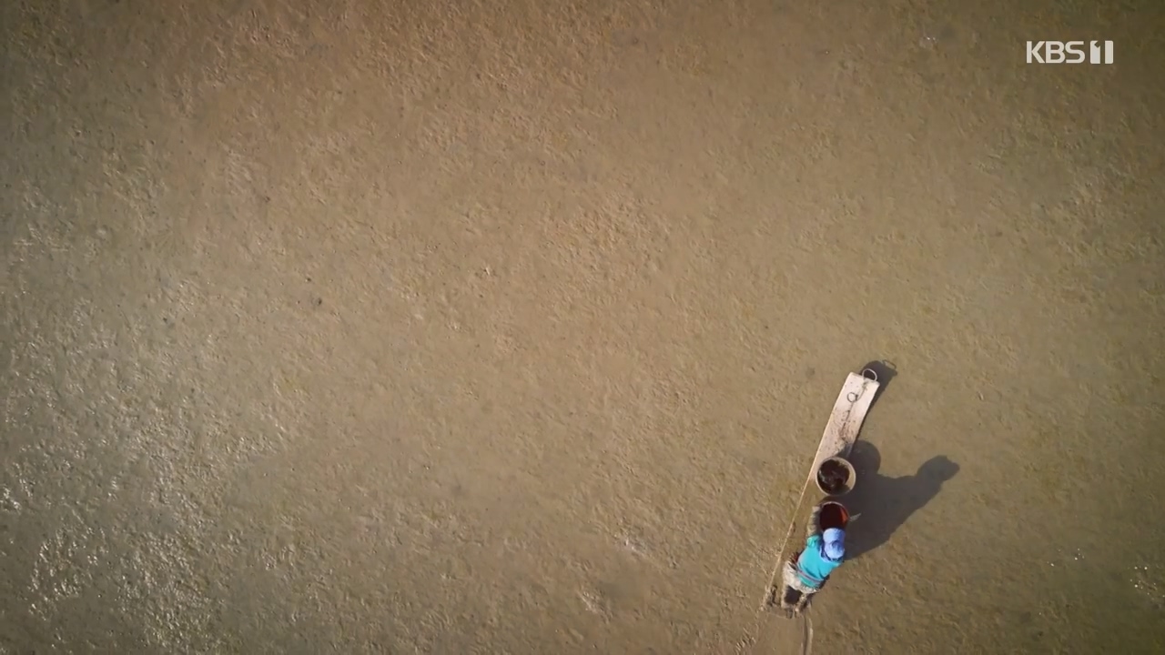 다큐 온.E206.230723p-NEXT.mp4_20230724_211937.019.jpg
