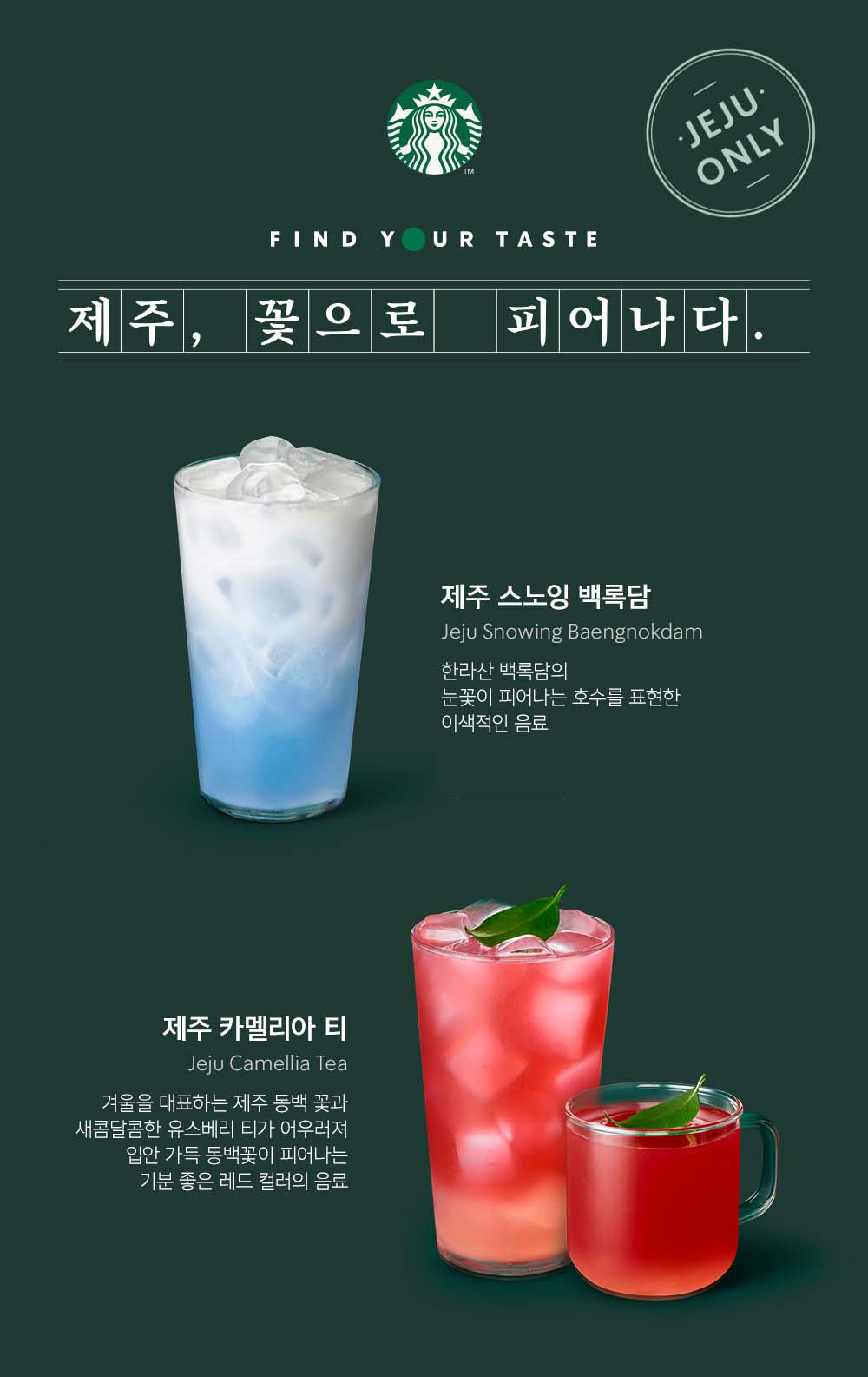 제주음료 이미지