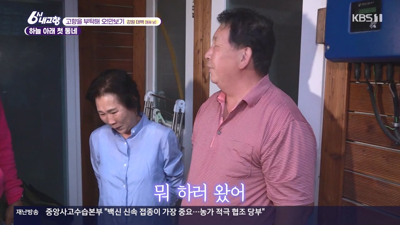 6시 내고향.E7910.231032p-NEXT.mp4_20231101_204615.315.jpg