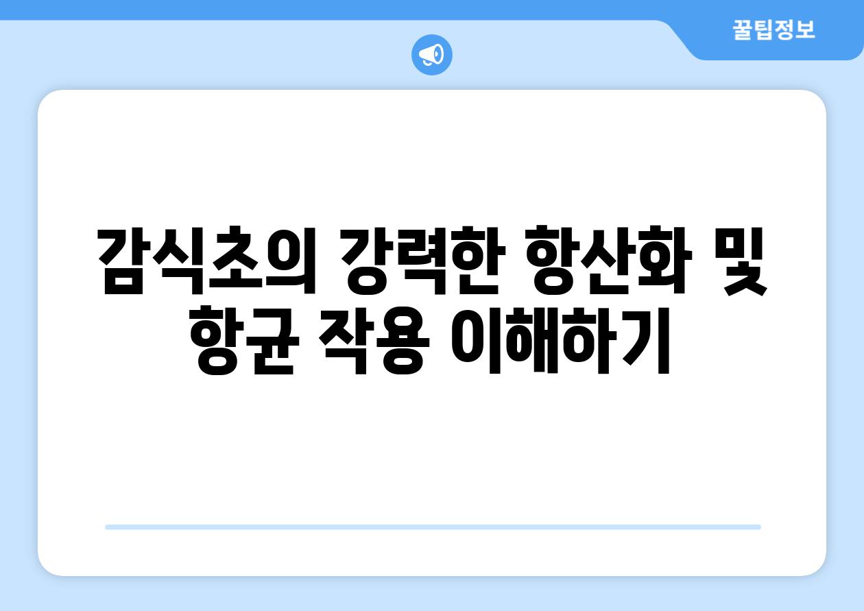 감식초의 강력한 항산화 및 항균 작용 이해하기