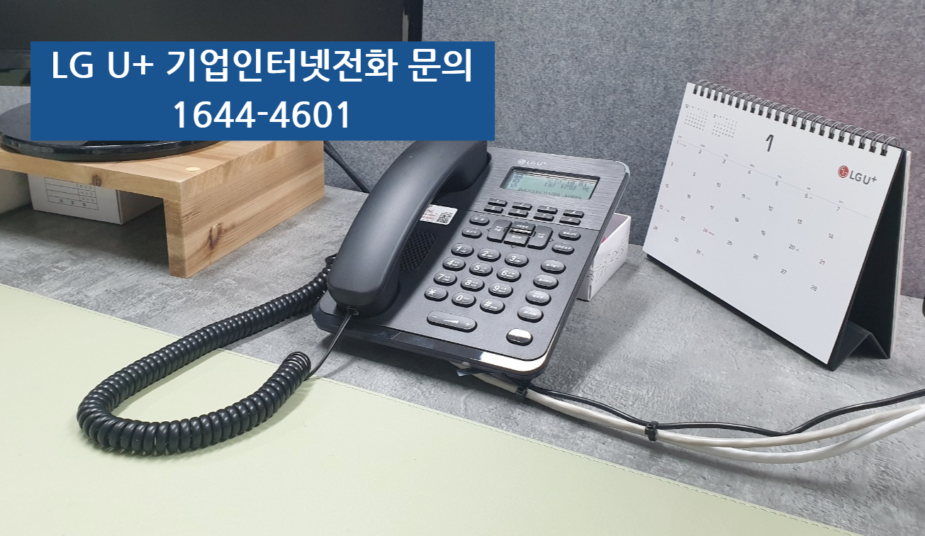  LG U+ 기업인터넷 전화 고객관리 고급형센트릭스 요금제