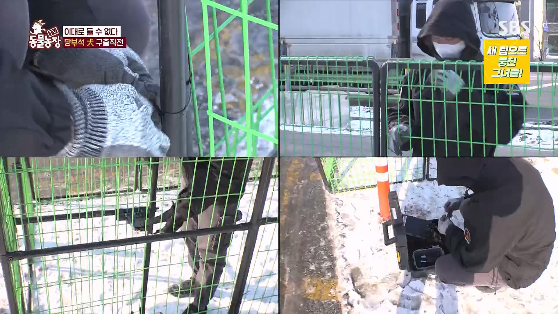 TV 동물농장.E1104.230115p.H264-F1RST.mp4_20230115_173217.086.jpg