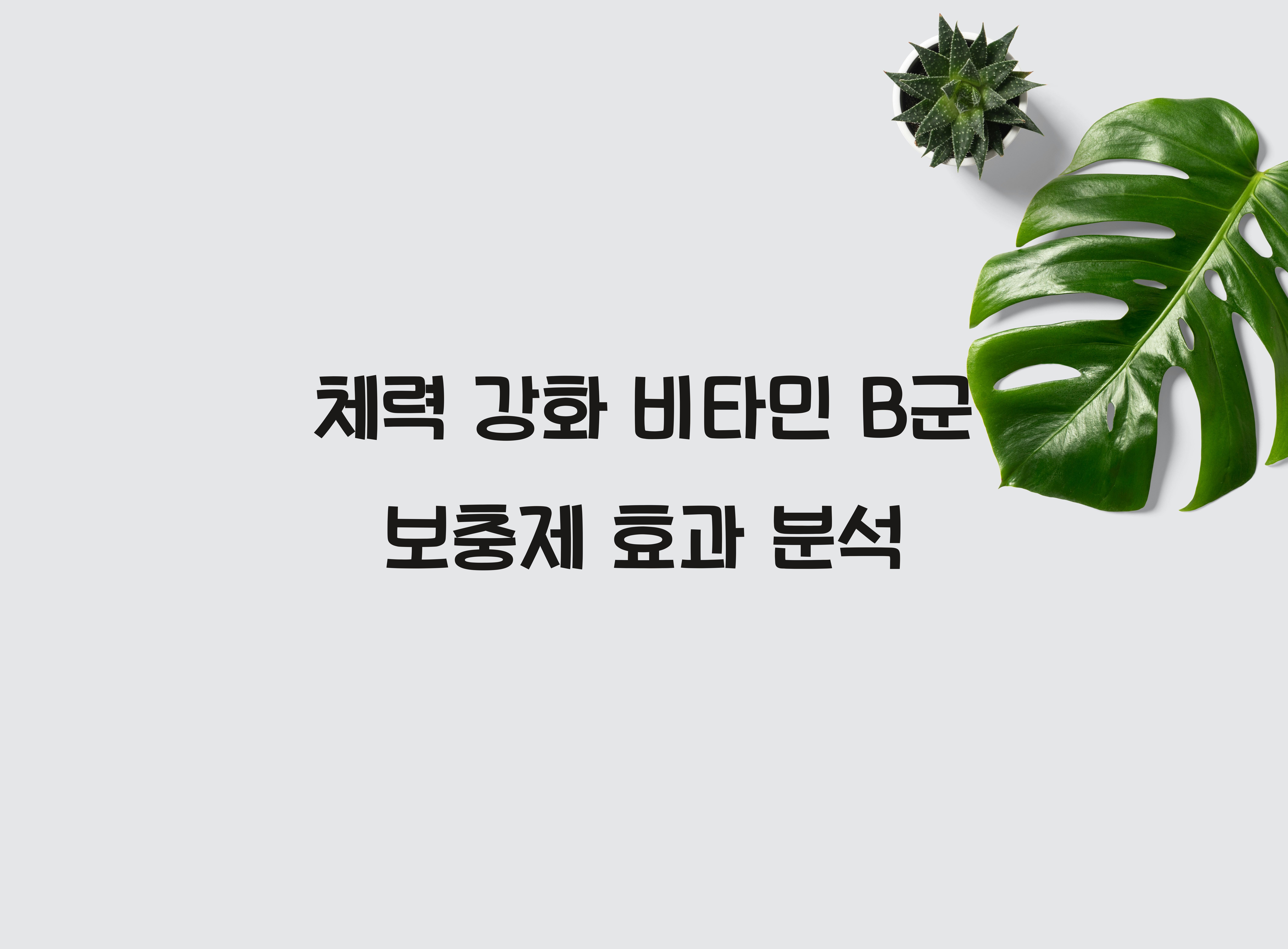 체력 강화 비타민 B군 보충제