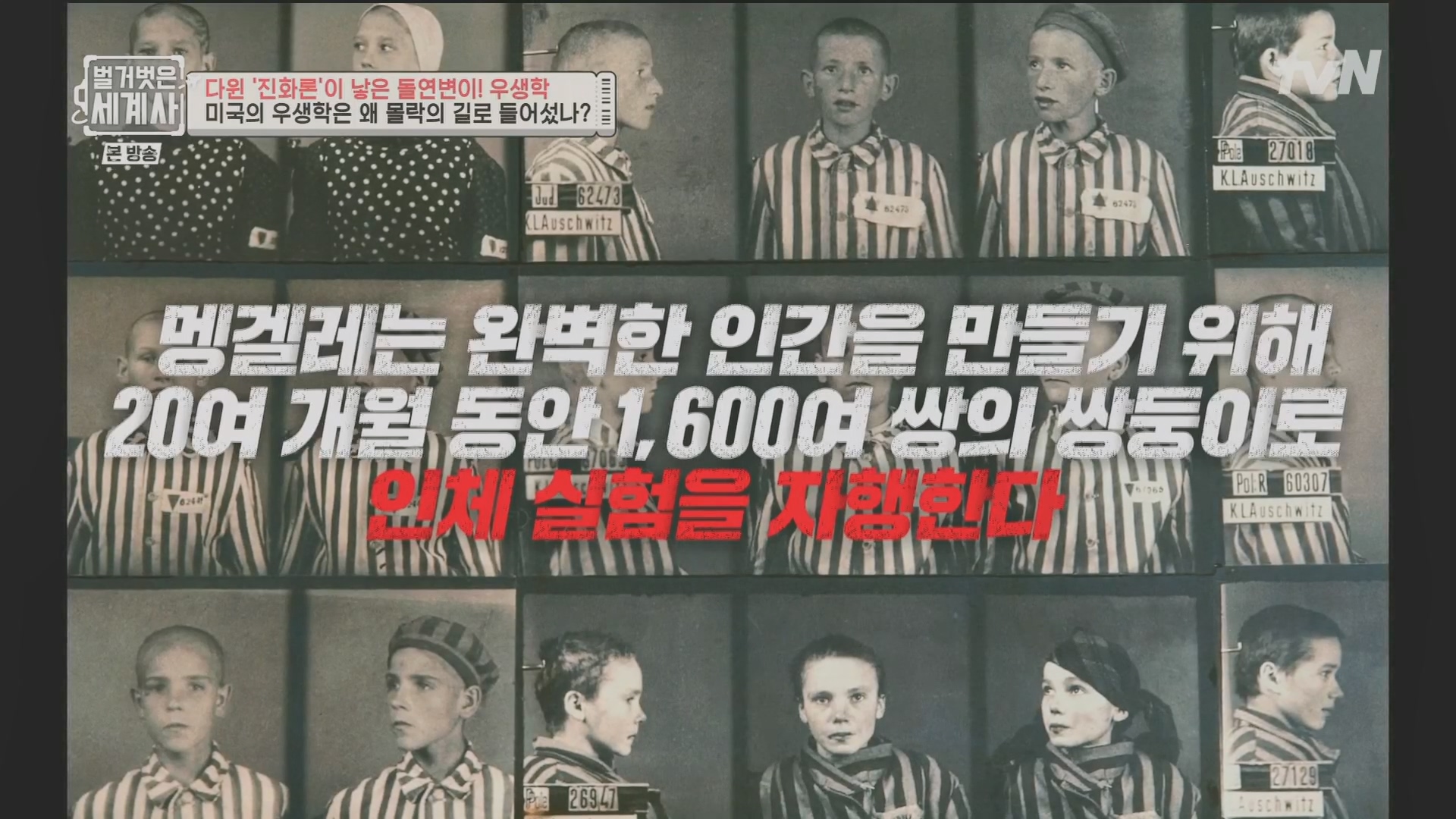 벌거벗은 세계사.E97.230502p.H264-F1RST.mp4_20231224_170718.462.jpg