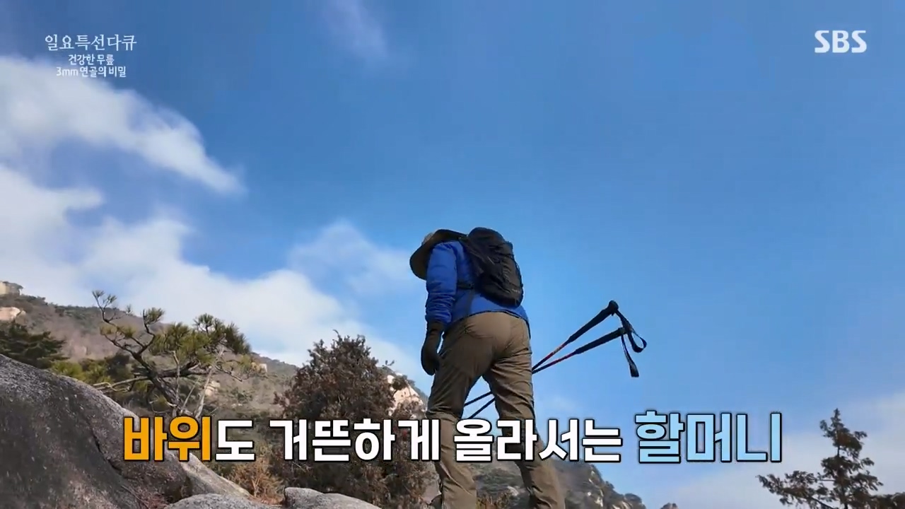 일요특선 다큐멘터리.E341.240318p-NEXT.mp4_20240317_183024.004.jpg