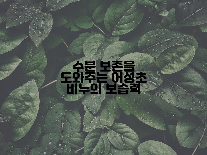 수분 보존을 도와주는 어성초 비누의 보습력