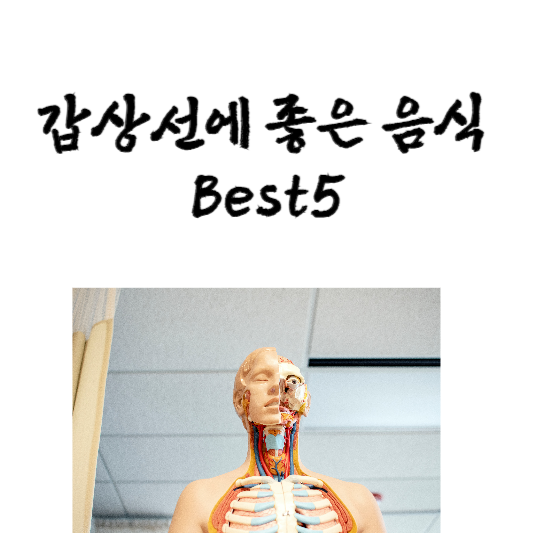 갑상선에 좋은 음식 Best5