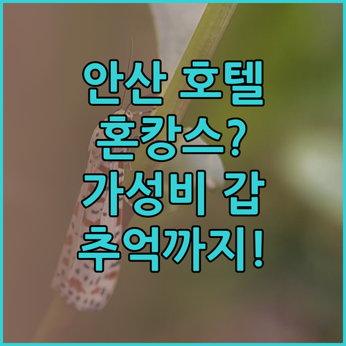 안산 호텔727 숙박 후기! 아늑함,