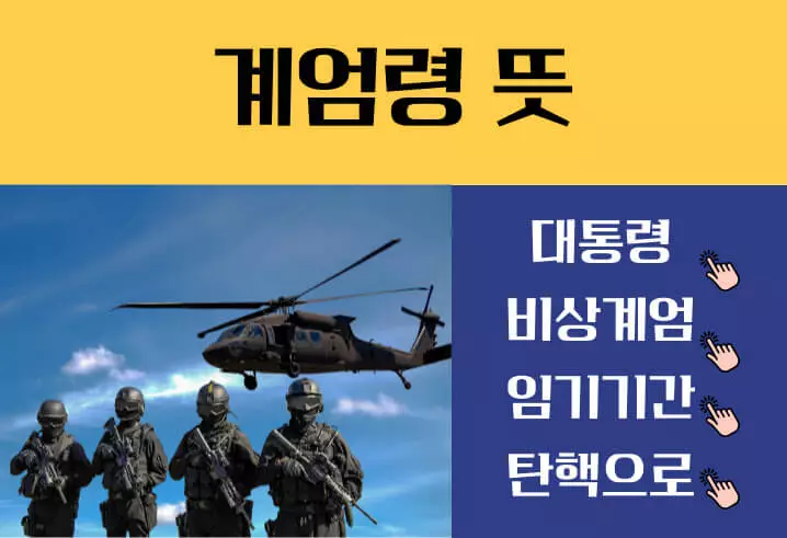계엄령 선포 요건 해제