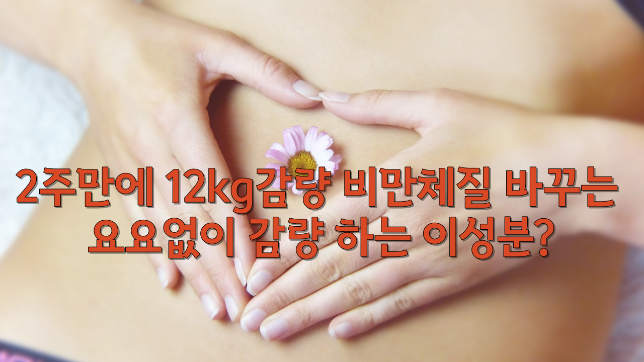  2주만에 12kg감량 비만체질 바꾸는 요요없이 감량 하는 이성분?
