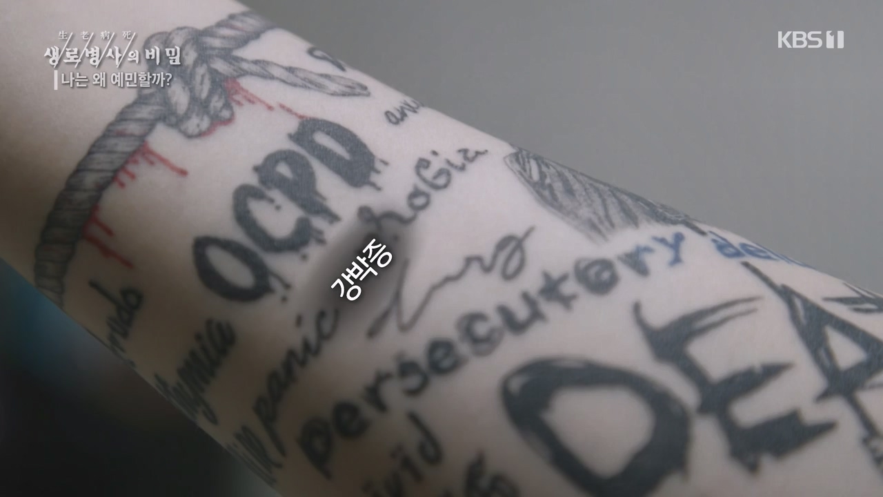 생로병사의 비밀.E879.230817p-NEXT.mp4_20230817_205234.968.jpg