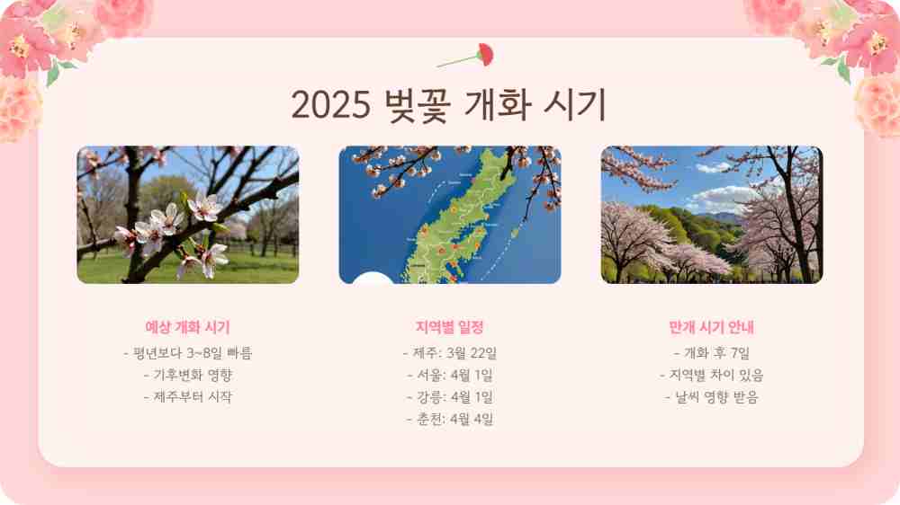 벚꽃 개화시기 2025 전국 벚꽃 축제 지도보기