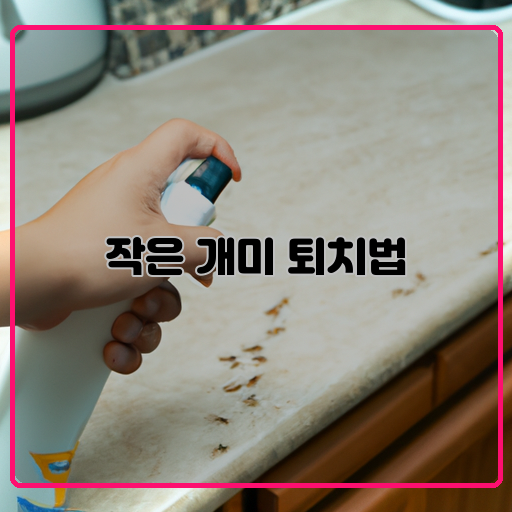 개미-퇴치-방법