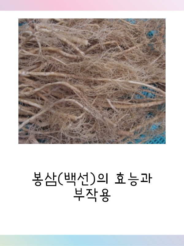  봉삼(백선피)의 효능과 부작용