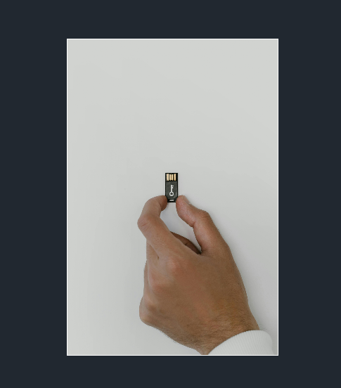 이미지 파일이 삽입된 모습