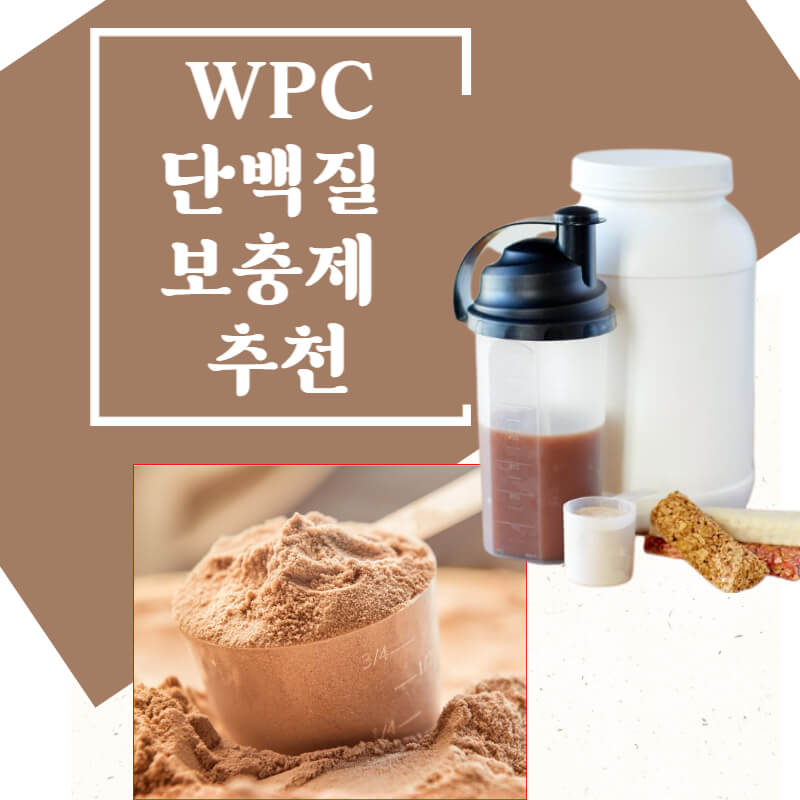 단백질 쉐이크