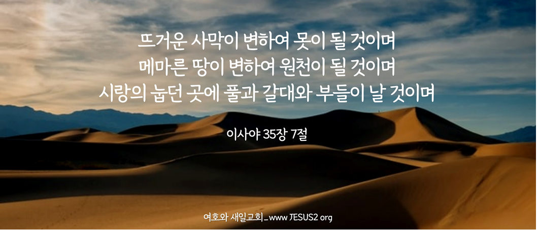  여호와 새일교회 이미지
