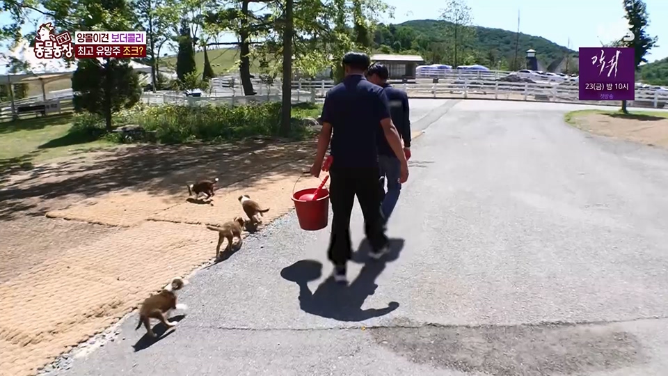 TV 동물농장.E1125.230618p.H264-F1RST.mp4_20230618_192101.080.jpg