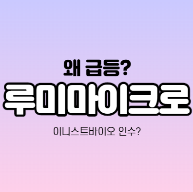  루미마이크로 어떤 기업인가요? 루미마이크로 급등이유 분석