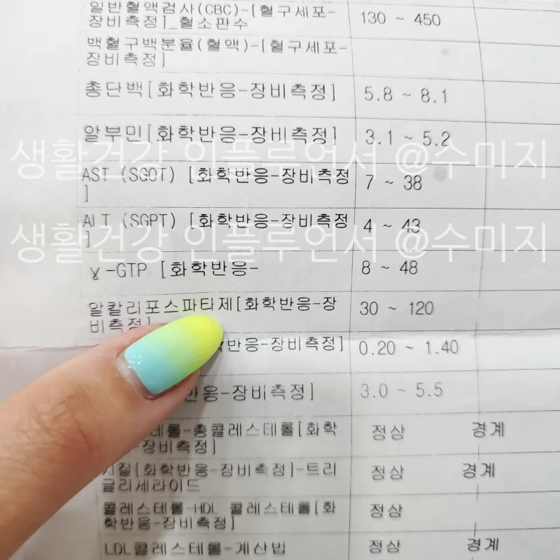 감마지피티 높으면 수치 정상화_4