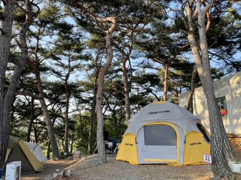 [트립] 대천오토캠핑장_캠핑 후기! #캠핑 #캠핑장 #대천캠핑 40