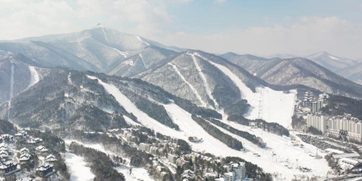 스키장별 어린이 스키강습 프로그램 총정리(비발디파크&amp;#44; 용평&amp;#44; 엘리시안 강촌&amp;#44; 휘닉스 평창&amp;#44; 오크밸리&amp;#44; 하이원)