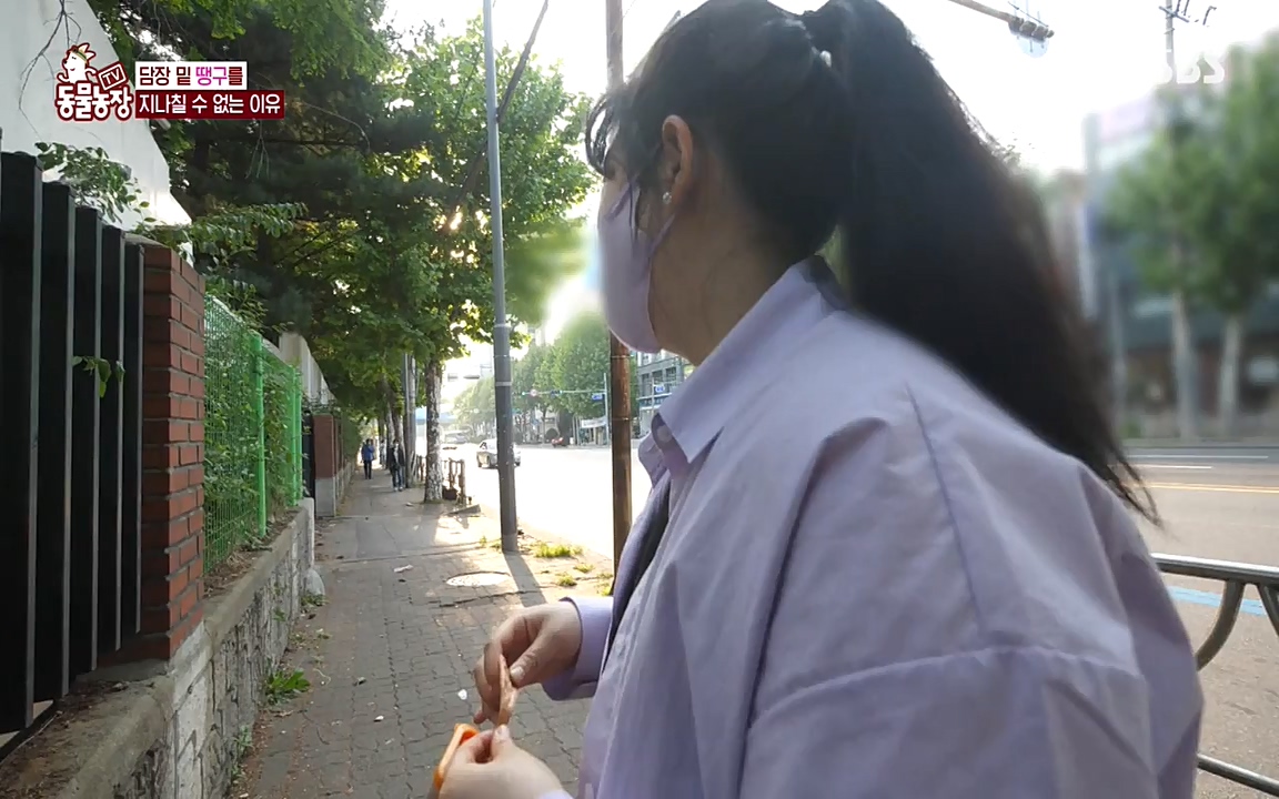 TV 동물농장.E1075.220627p-NEXT.mp4_20220626_175601.353.jpg
