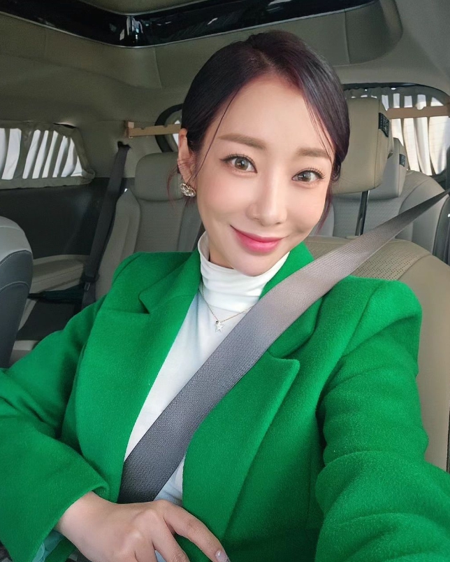 안소미