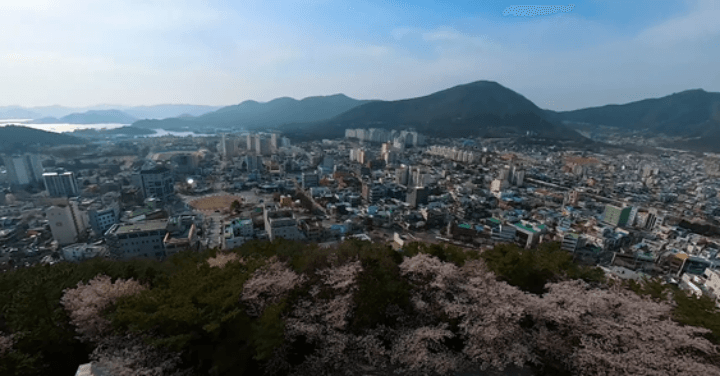 제황산-공원-진해탑에서-본-진해시