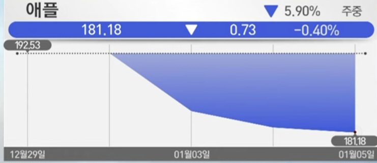 애플 실적부진 경고 및 반독점 소송 가능성에 5일연속 하락