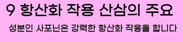  9 항산화 작용 산삼의 주요 성분인 사포닌은 강력한 항산화 작용을 합니다