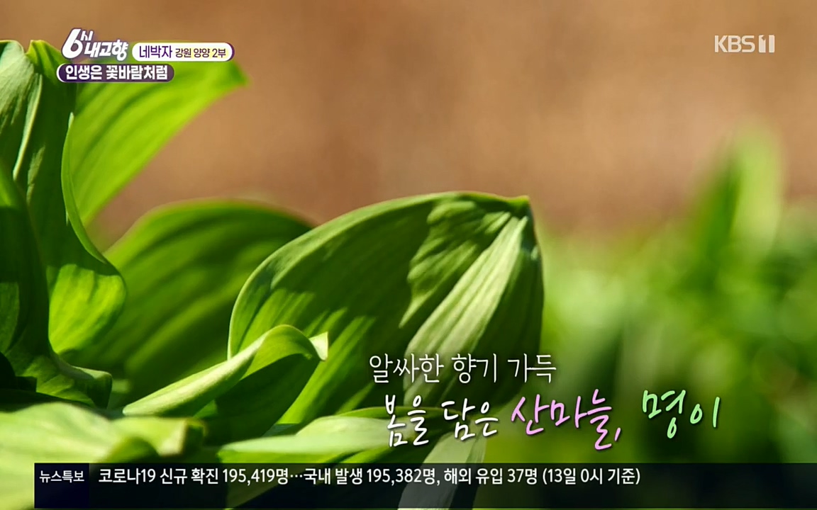 6시 내고향.E7510.220414p.H264-F1RST.mp4_20220419_184320.961.jpg