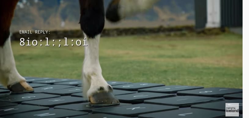 휴가 가 있는 동안 말에게 이메일을 받아보세요! VIDEO:OutHorse Your Email to Iceland’s Horses