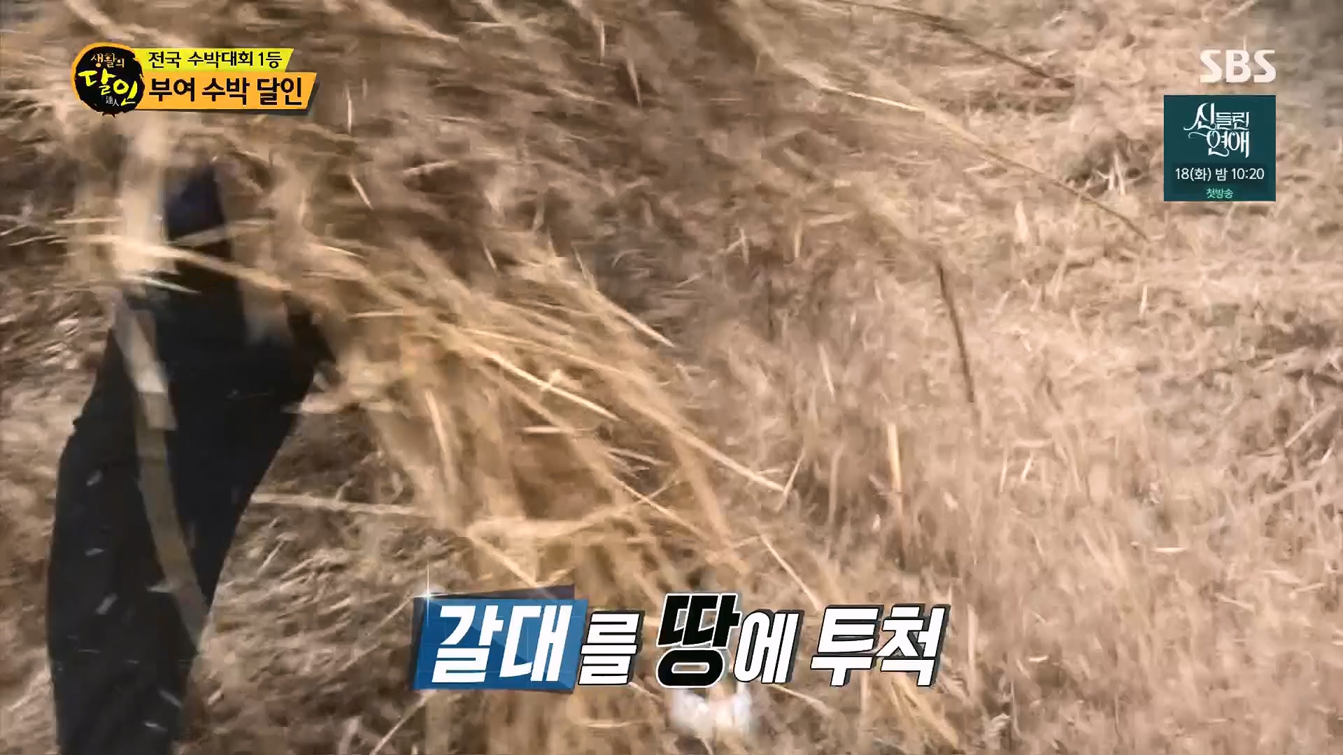 생활의 달인.E939.240610p.H264-F1RST.mp4_20240611_200852.243.jpg