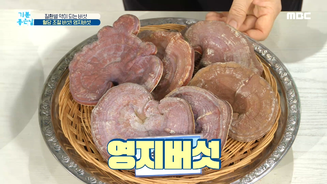  기분좋은날 면역력 증진 향상 버섯 밑둥 상황/영지/목이/노루궁뎅이/차기/표고 버섯 효능 효과 재배법 가을 보약 버섯 밑동 장조림 요리 영양 레시피 섭취법 베타글루칸 식이섬유