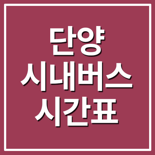  단양 시내버스 시간표 및 요금 정보