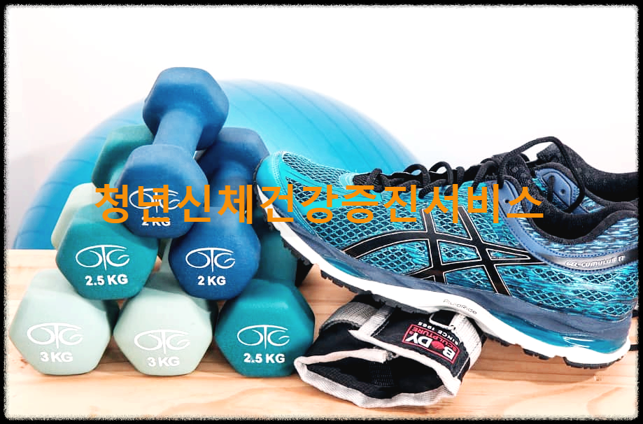 청년신체건강증진서비스 : 청년의 신체건강지원을 통해 삶의 질의 향상시키는 서비스