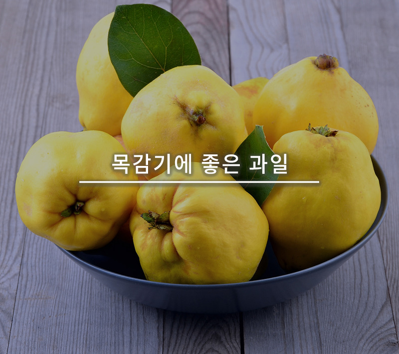   뚜뚜월드