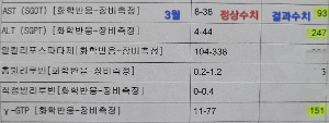 간수치-3월-결과