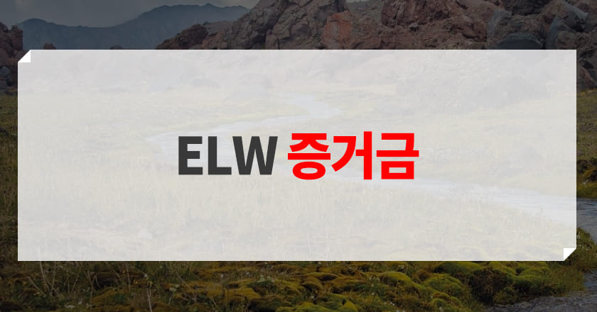 elw 증거금 기준 및 유래 소개