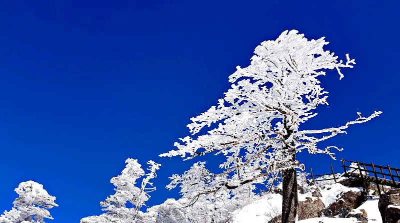 지리산 설경 상고대