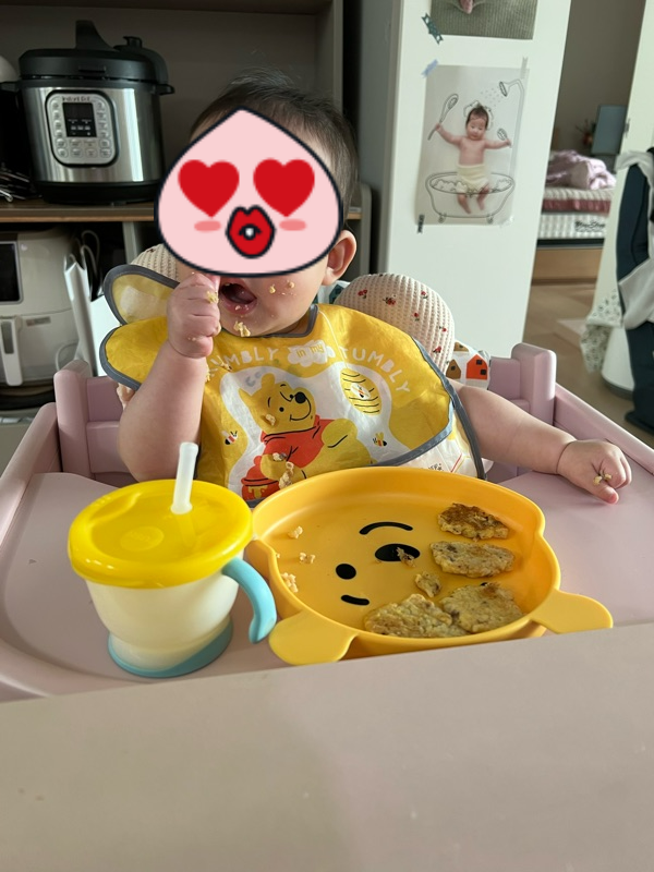  9개월 복덩이의 아이주도+밥 이유식 복합 식단표(후기 이유식 식단표)