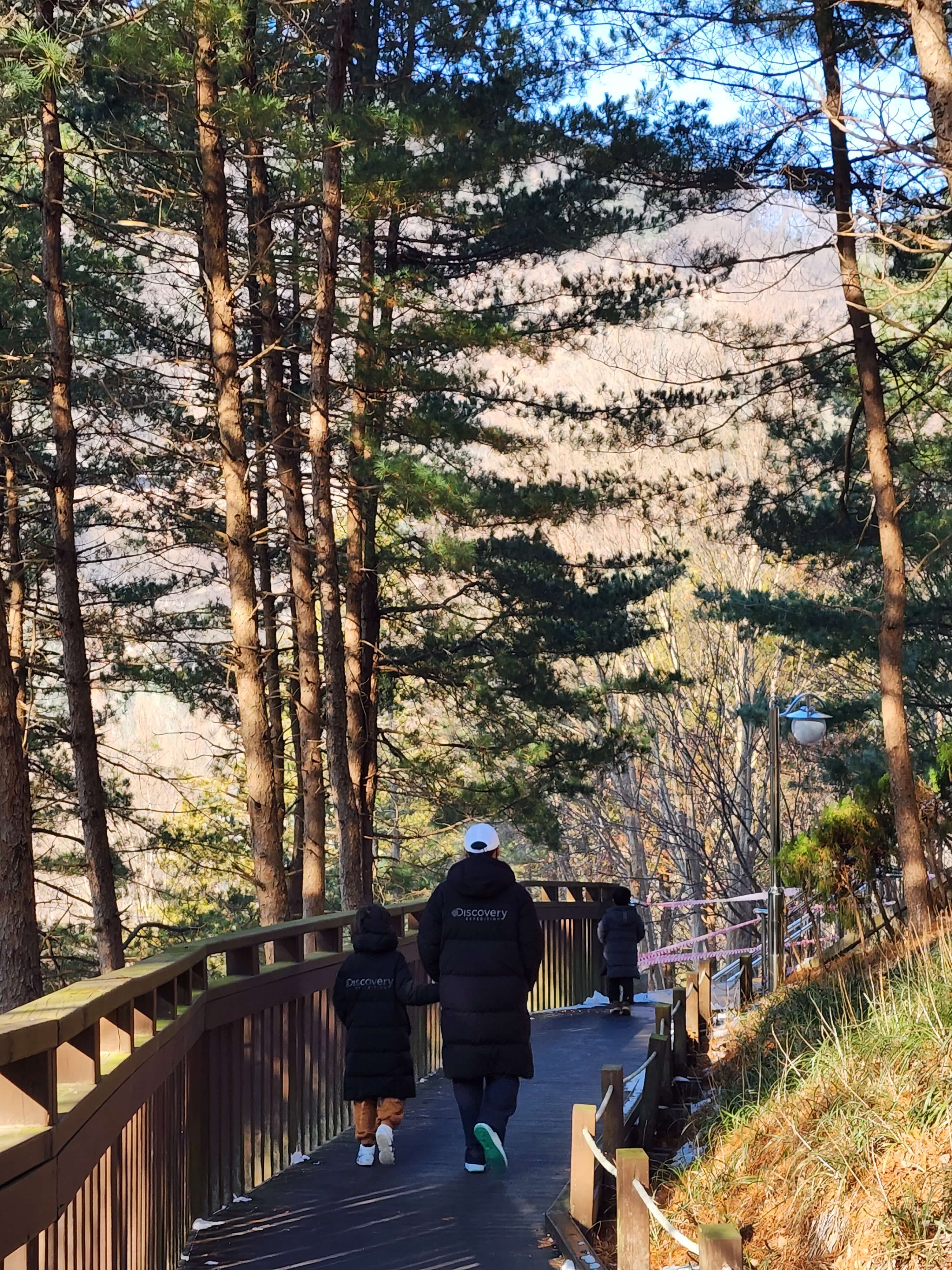 대청호 로하스 캠핑장