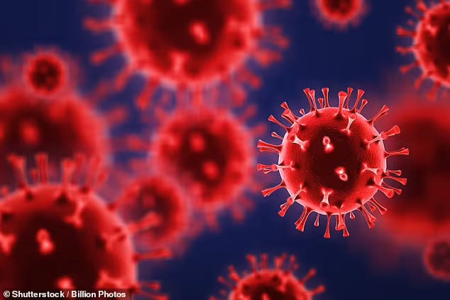  프랑스에서 또 다른 강한 코로나 변종 발견 Déjà vu: French scientists detect ANOTHER variant linked to travel to Cameroon and ...