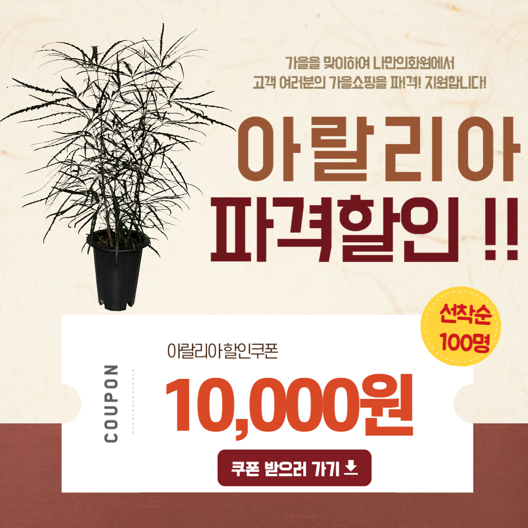 아로스 팝업