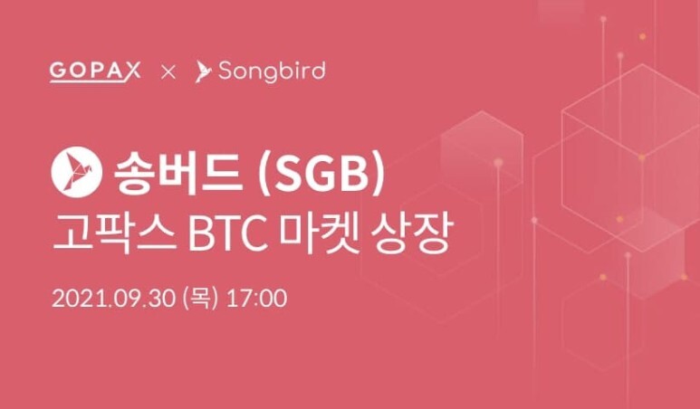 고팍스 송버드(SGB)토큰 상장 (에어드랍 지급 안내)