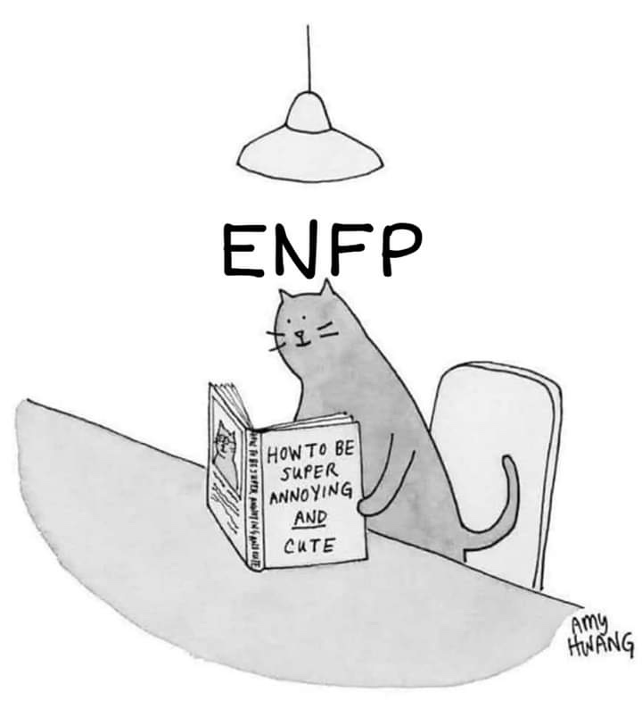  MBTI 밈 번역