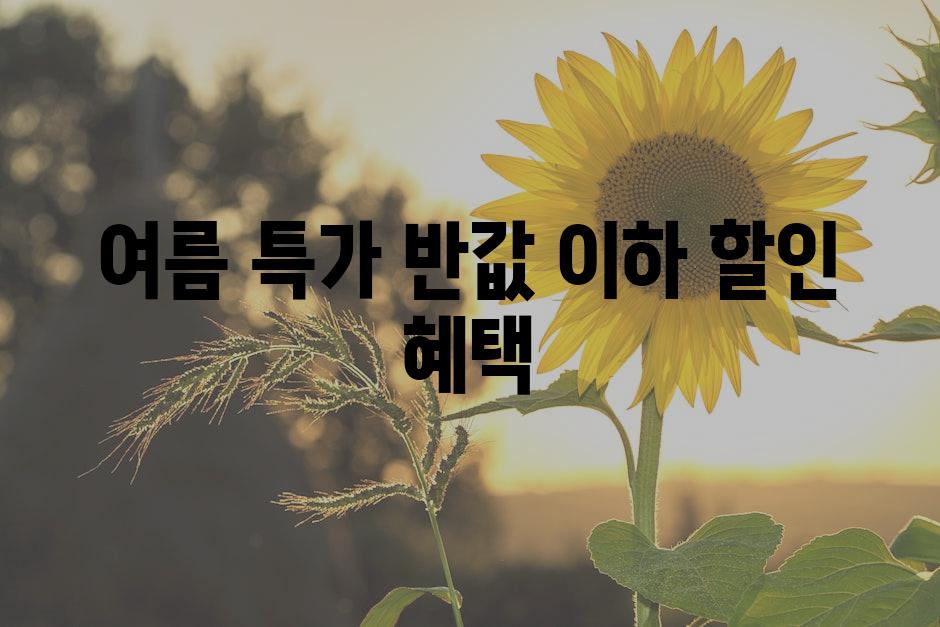 여름 특가! 반값 이하 할인 혜택