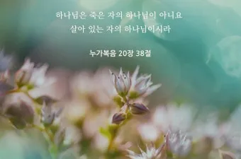 권위 전쟁 누가복음 20장 큐티 매일성경_6